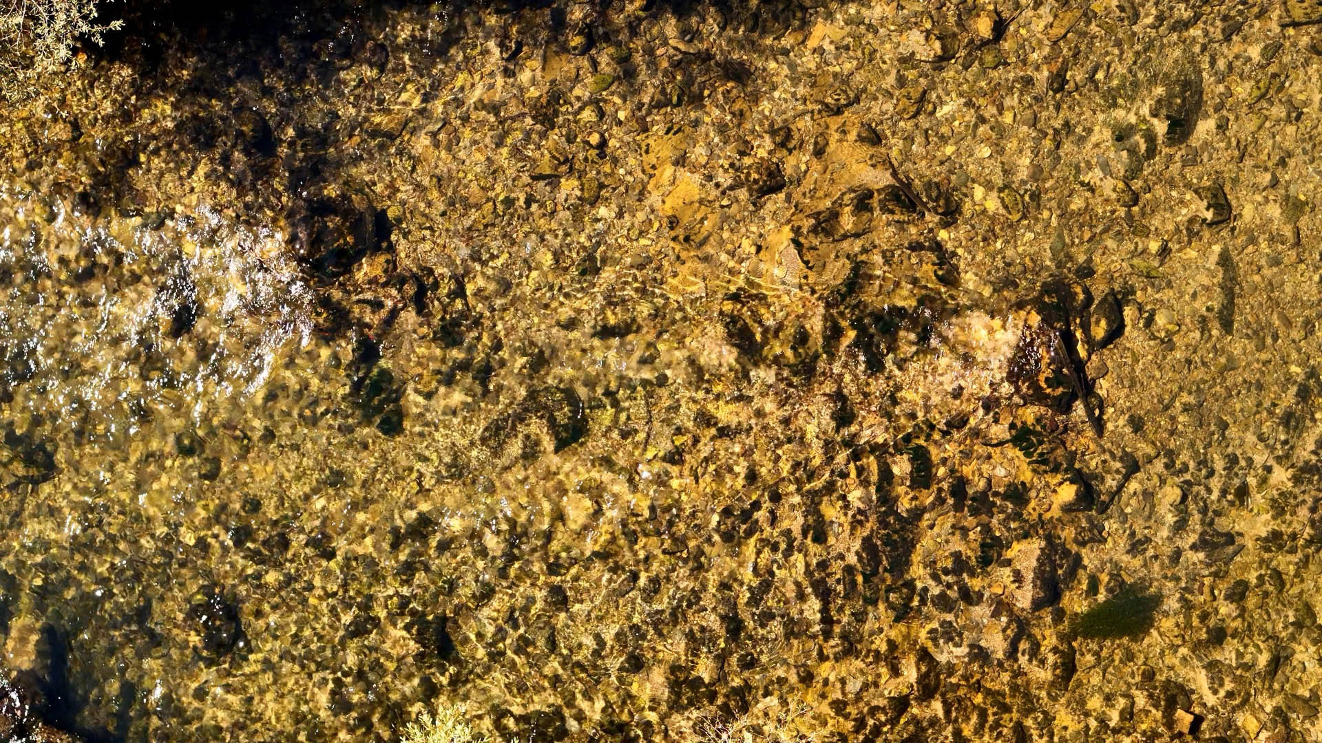 Vienna Art Week – Open Studio Days / Julian Palacz – KM14